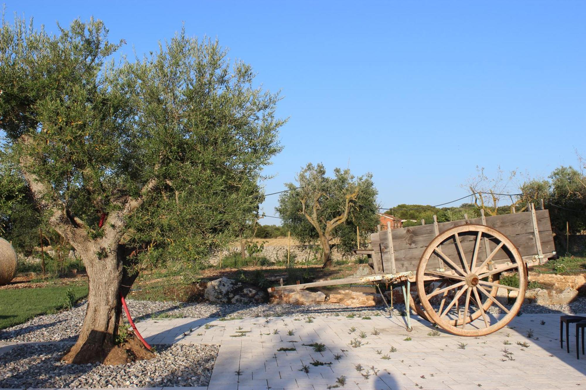 Masseria Stella Gioia Del Colle Bagian luar foto